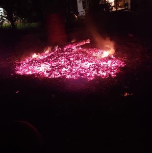 Meet your Posher, Bob